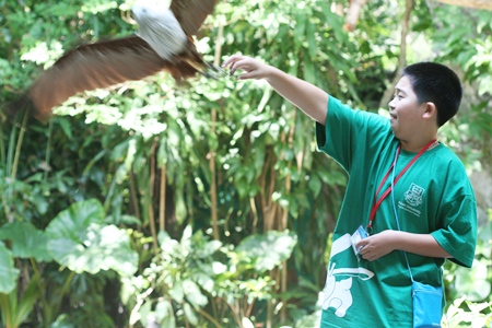 How far did he trust a falcon picking a snack from his hand?